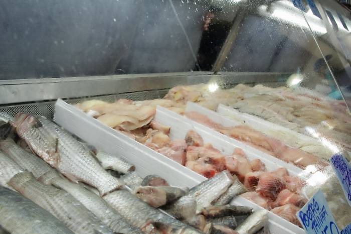 Interessados em comercializar pescado na Semana Santa devem entrar em contato com a Secretaria de Desenvolvimento Rural