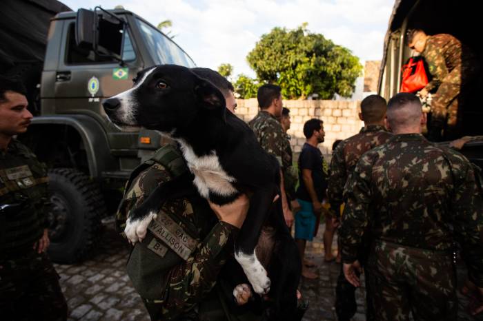Cerca de 100 cães aguardam por seus tutores no abrigo de animais da Associação Rural de Pelotas