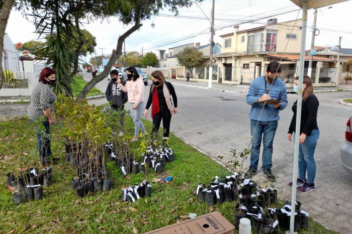 Prefeitura concluiu as ações do eixo Bairro Verde do programa, que identificou espécies arbóreas, realizou podas e supressões nos pontos necessários e fez o plantio de árvores frutíferas nativas