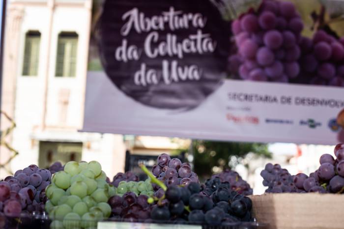 A Feira, aberta oficialmente nesta segunda-feira, terá bancas espalhadas pela cidade e funcionará até o dia 12 de fevereiro, de segunda a sexta das 9h às 17h