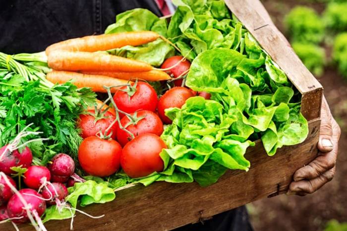 Entidades e produtores podem receber e fornecer alimentos