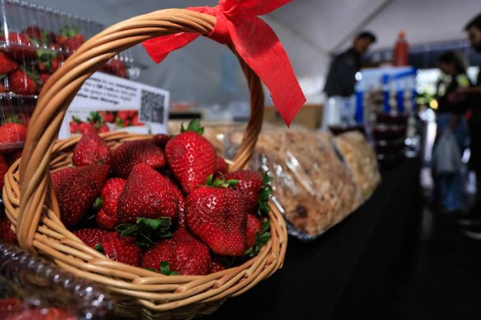 Em uma semana, foram vendidos 2.160 quilos da fruta diretamente do produtor ao consumidor
