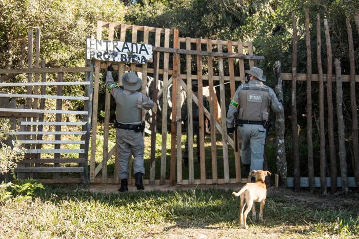 A ação foi realizada nesta sexta-feira (7) com o objetivo de averiguar e combater invasões na localidade próxima ao antigo EcoCamping, que é protegida pela Lei nº 4.336/1998