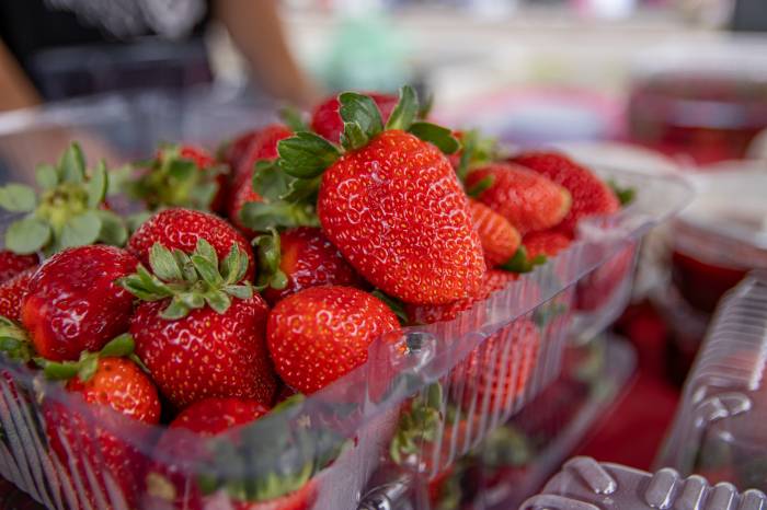 Dias 8 e 9 de novembro, Pelotas comemora seu potencial produtivo da fruta no Parque de Eventos Morada do Sol