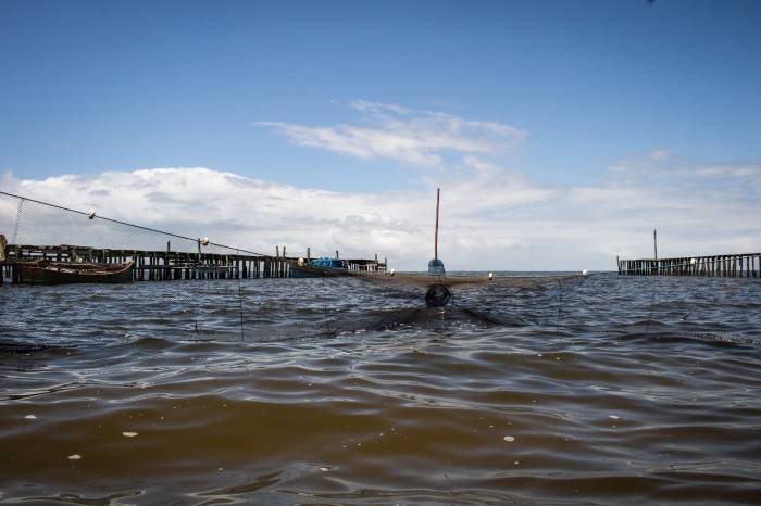 Pescadores projetam captura de cerca de 6 mil toneladas do crustáceo