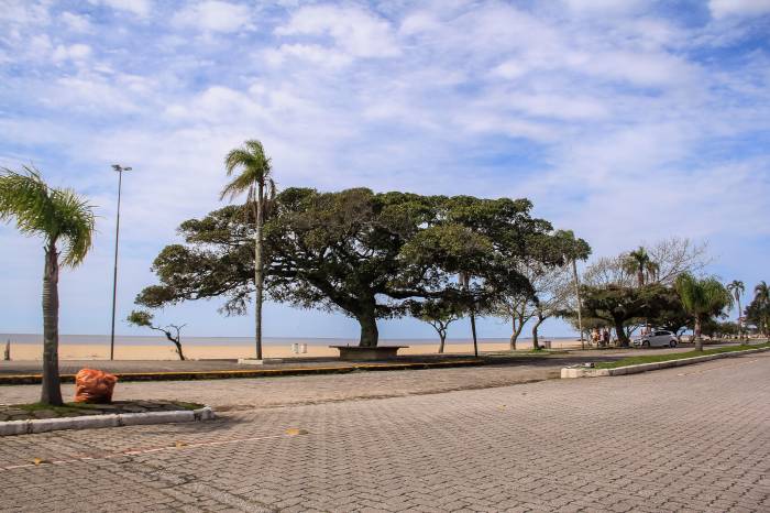 Plantio de mudas, oficinas e doações de espécies arbóreas são algumas das atividades promovidas pela Prefeitura entre os dias 21 e 25 de setembro