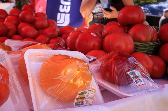 Maior encontro de produtores do fruto na região foi realizado no município de Canguçu