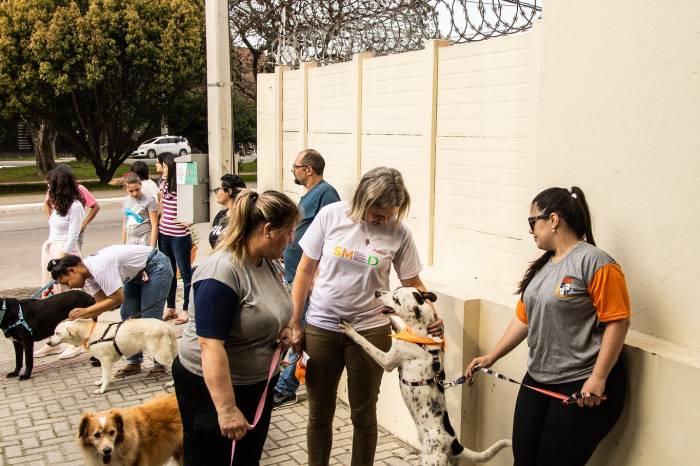 No evento, realizado na avenida Dom Joaquim, também foi entregue o Selo de Empresa Amiga dos Animais ao pet shop Petland