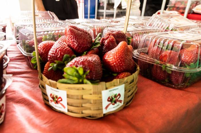 Mais de 2,4 toneladas da fruta in natura foram comercializadas nos dois dias do evento