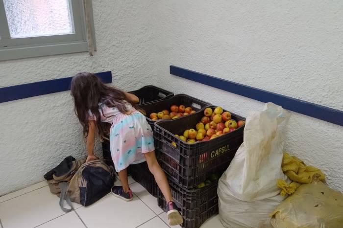 Pelo menos 60 famílias de cada região devem receber os alimentos