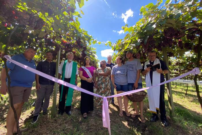 Evento em propriedade rural marca o início da safra 2025, com expectativa de produção de mais de 800 toneladas da fruta no município