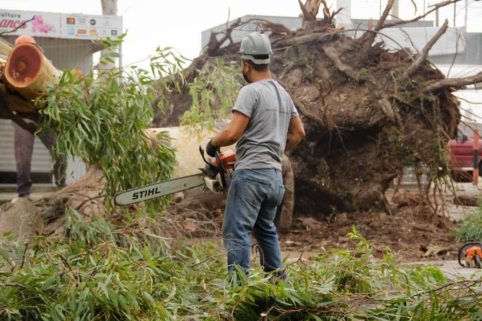 Ocorrências envolveram quedas de árvores, destelhamento de casas, alagamentos de ruas em diversos pontos da cidade