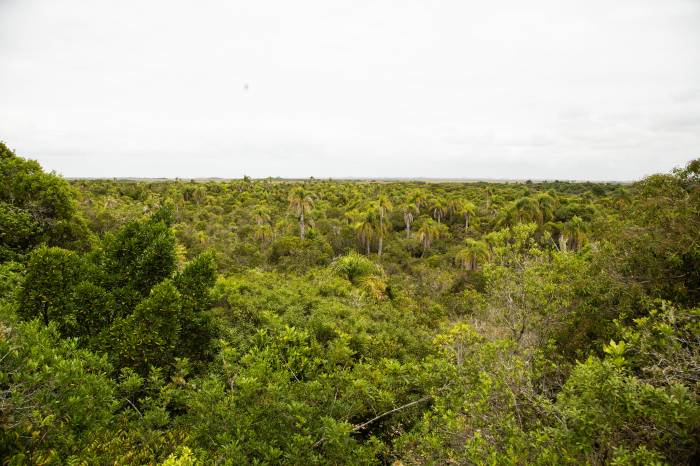 Programação das atividades conta, ainda, com criação de Comissão de Mudanças Climáticas e Adesão à Agenda Ambiental do governo federal