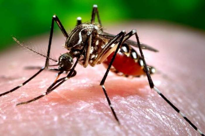 Homem, morador do Laranjal, é o terceiro infectado pela dengue no Município