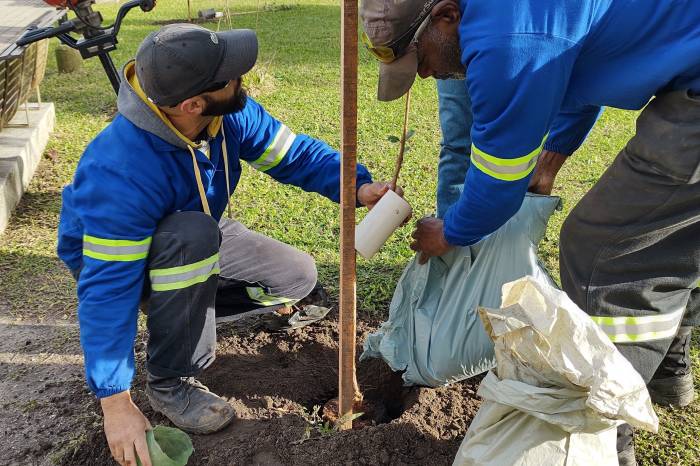 É previsto que cinco microrregiões da área central sejam contempladas. Trabalho inicia-se na praça Coronel Pedro Osório