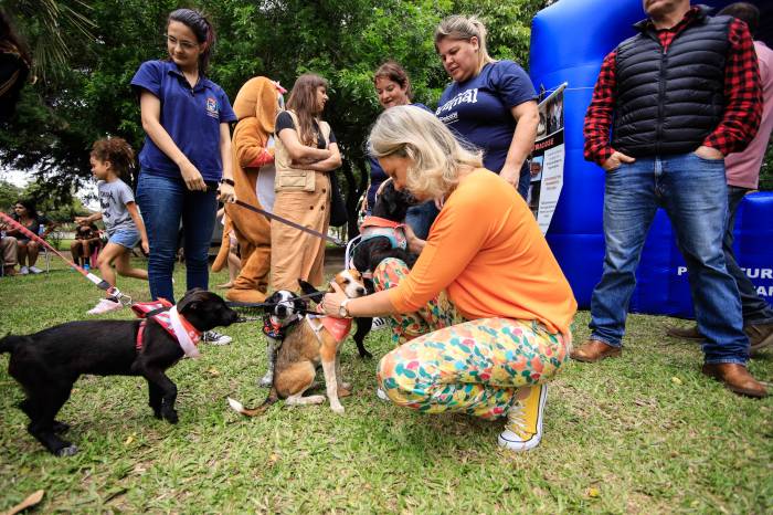 Durante a 2ª Festa dos Caramelos, Paula pediu uma maior atenção da comunidade com o bem estar animal e estimulou adoções de animais abandonados