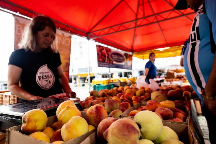 Mesmo com safra escassa, com mais de 40% de quebra em relação a 2022, venda direta do produtor ao consumidor preenche as expectativas