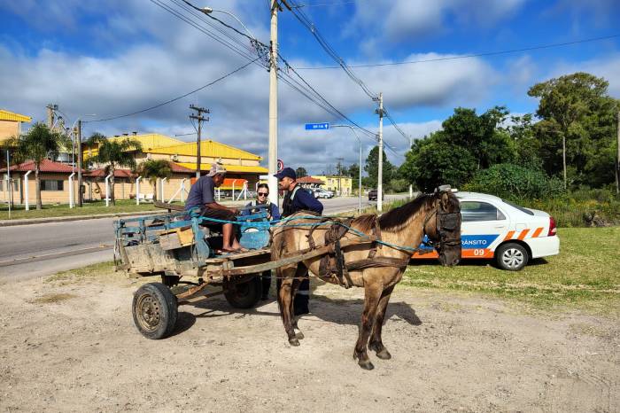 Secretaria de Transporte e Trânsito promove curso de capacitação para condutores de veículos de tração animal