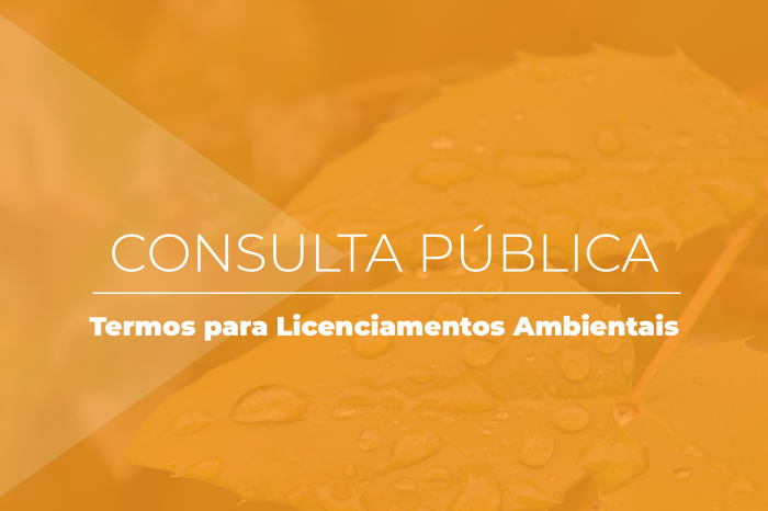 Consulta está disponível até 31 de maio, pelo Sistema Eletrônico de Licenciamento Ambiental, e visa à coleta de informações para a atualização dos Termos de Referência