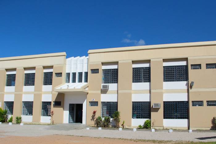 Ao longo de 2022 a instituição, mantida pela Prefeitura de Pelotas, recebeu 105 novas matrículas e encerrou o ano com 543 usuários assistidos