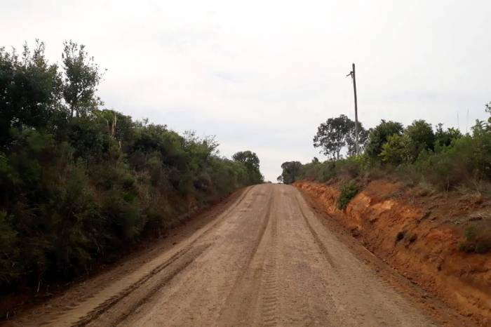 Prefeitura, com equipe da Secretaria de Desenvolvimento Rural, realiza patrolamento, drenagem e construção e reforma de bueiros