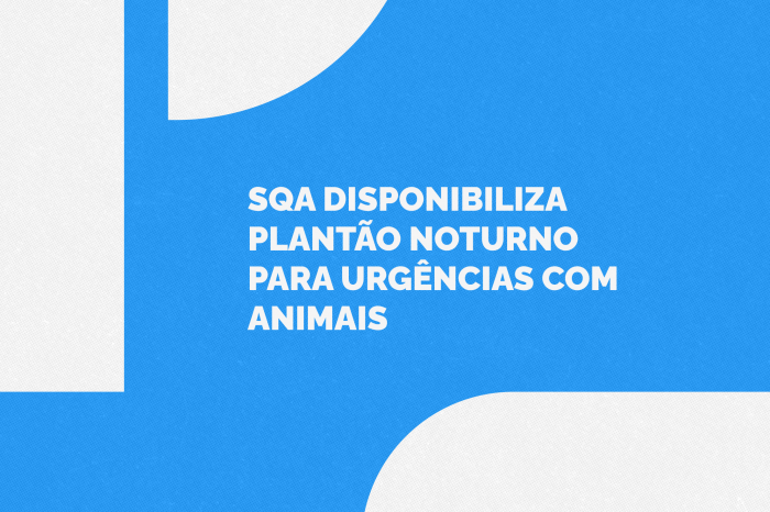 Novo canal passa a funcionar a partir desta terça-feira para atendimentos fora do horário comercial