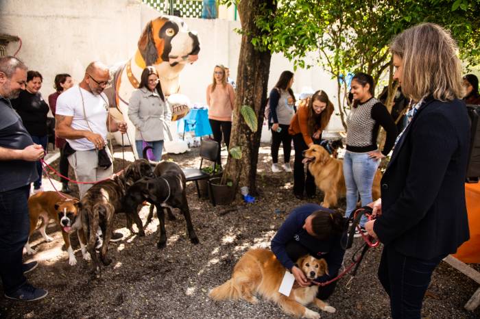 Organizado pela Secretaria de Administração e Recursos Humanos, a iniciativa reuniu servidores e seus animais de estimação no ambiente da repartição pública