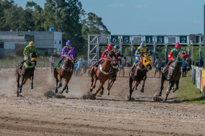 A 88ª edição da principal competição do Jockey Club de Pelotas ocorre neste domingo, com entrada gratuita. A carreira que homenageia o chefe do Executivo pelotense acontece às 15h