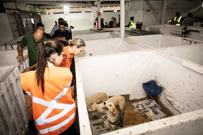 Espaço é destinado apenas a cães errantes nas áreas de risco, durante a situação das cheias