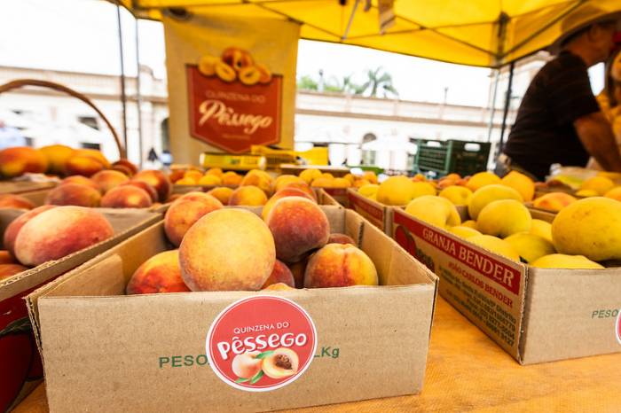 Venda direta do produtor ao consumidor será conjunta com morango