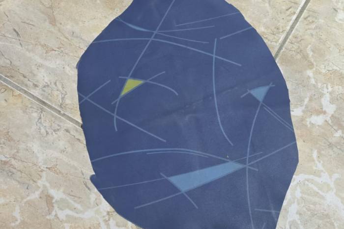 Recorrentes atos de vandalismo, praticados por passageiros, causam prejuízos e desconforto