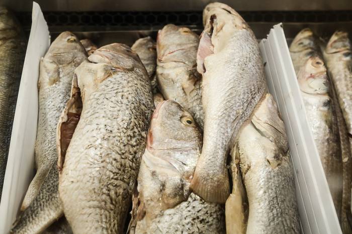 Estão confirmadas, com autorização para comercializar pescado, 41 bancas durante a Semana Santa