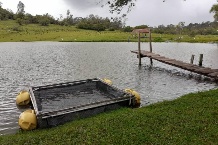 Produtores da zona rural ainda podem fazer os pedidos junto à SDR ou nas administrações distritais
