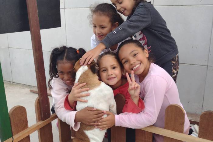 Cães e seus tutores terão diversas atividades na praça Coronel Pedro Osório