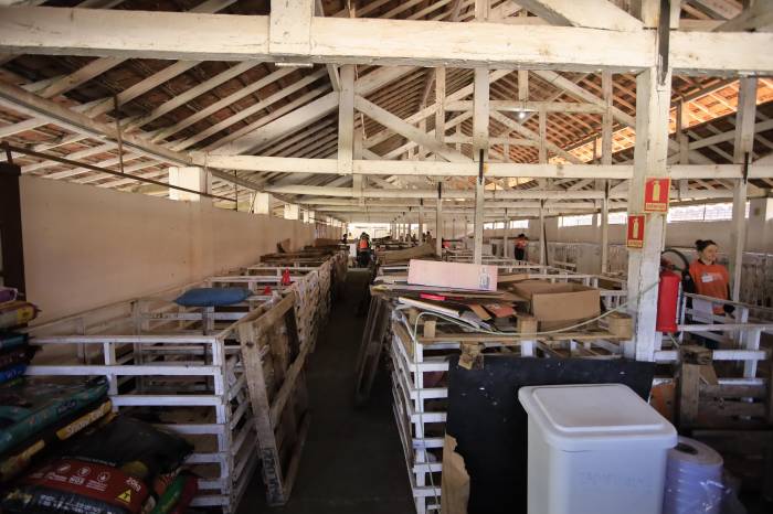 Abrigo, na Associação Rural de Pelotas, necessita de diversos itens, como alimentos, medicamentos e materiais de construção