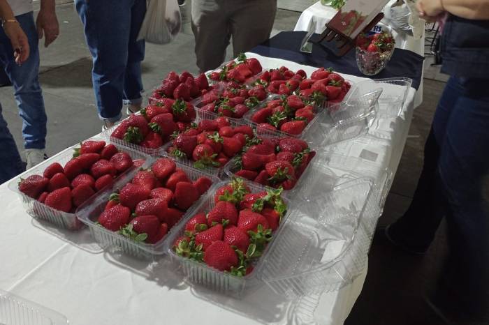 Evento está marcado para os dias 14 e 15 de novembro de 2026 e confirmado no Parque Morada do Sol