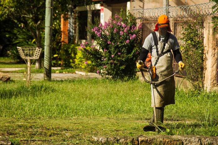 Prefeitura disponibiliza contatos para que a população solicite serviços de poda, supressão de árvores, limpeza de valetas, roçado, troca de lâmpadas, patrolamento de vias e outras demandas