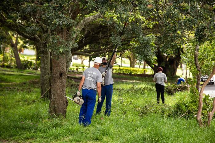 Vila Princesa, Sítio Floresta e Cohabpel foram beneficiados pelo trabalho desenvolvido pela Prefeitura. Durante 24 dias, houve a poda de 903 árvores e 54 supressões