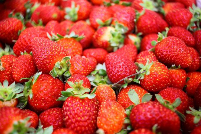 Dezoito estandes, em pavilhão de 200 metros quadrados, no Parque de Eventos Morada do Sol, vão garantir a grande feira dos produtores