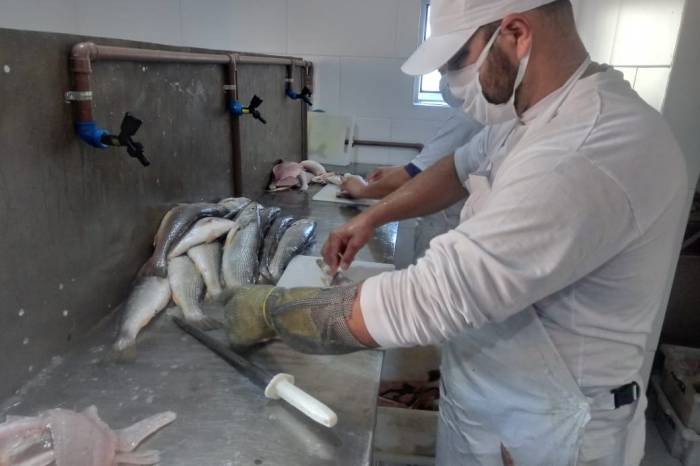 Verdes Mares Indústria de Pescados inicia atividades no bairro Três Vendas
