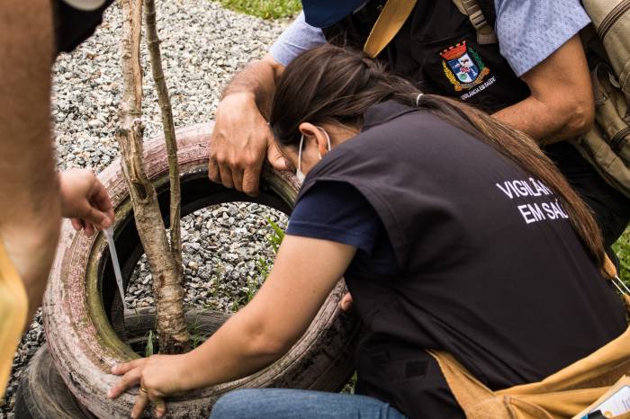 Desde o início do ano, foram identificados 290 focos em toda a cidade