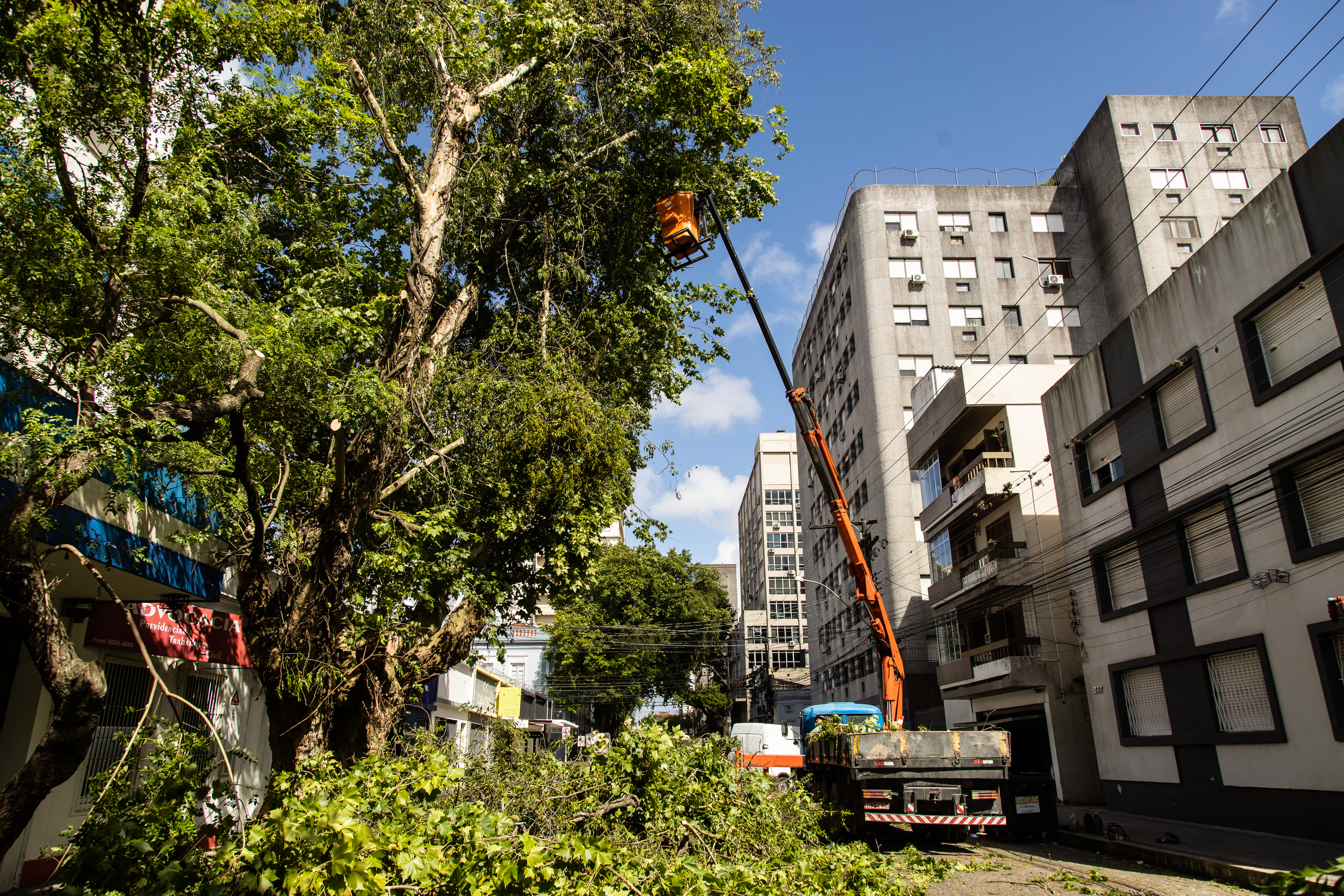 Atividade integra o programa Ciclo Verde e visa priorizar a segurança do local e garantir a qualidade do paisagismo