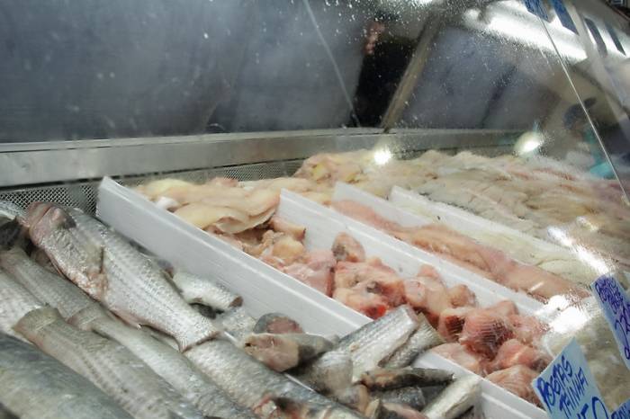 Interessados em comercializar pescado na Semana Santa devem entrar em contato com a Secretaria de Desenvolvimento Rural