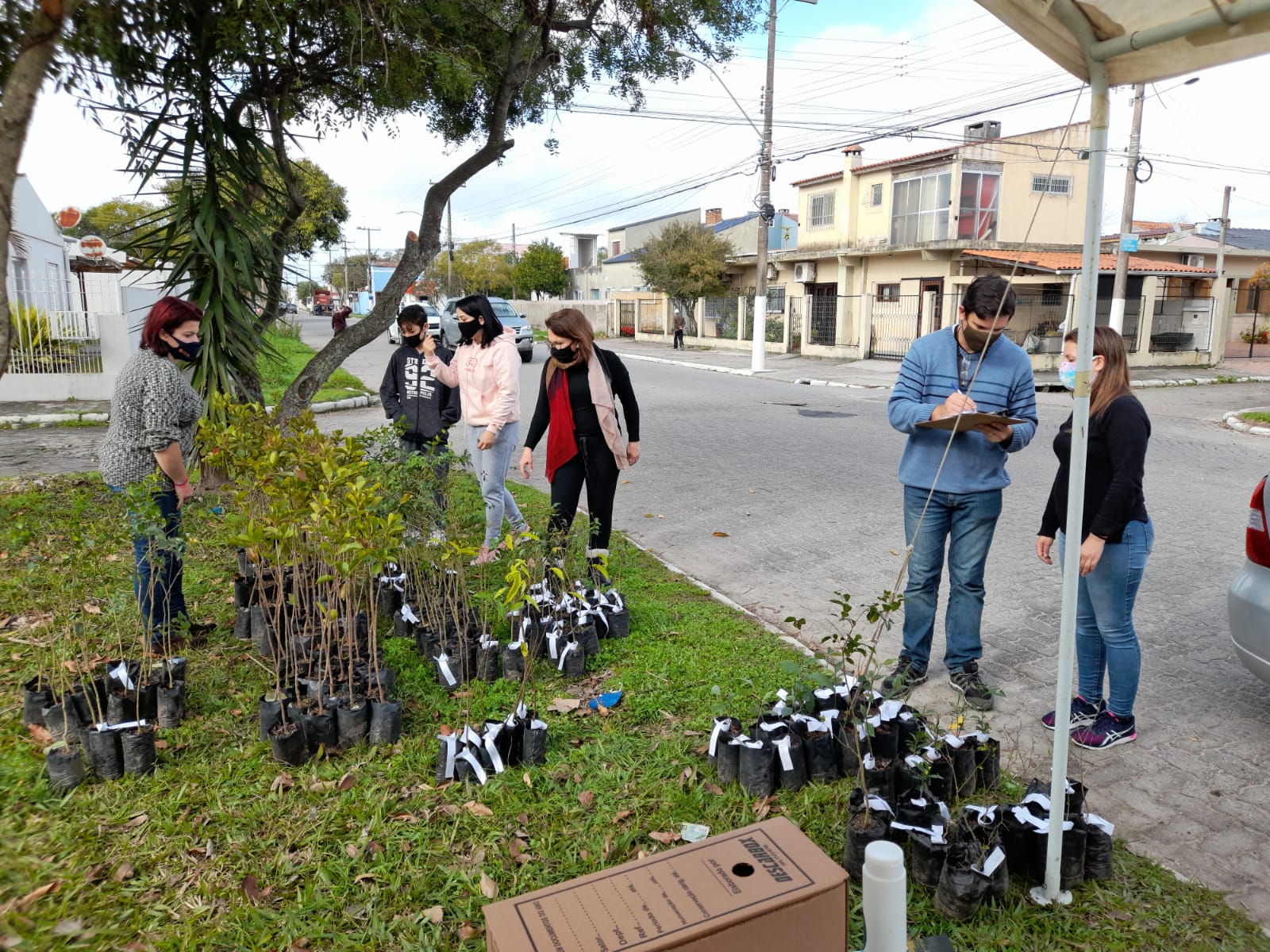 Prefeitura concluiu as ações do eixo Bairro Verde do programa, que identificou espécies arbóreas, realizou podas e supressões nos pontos necessários e fez o plantio de árvores frutíferas nativas