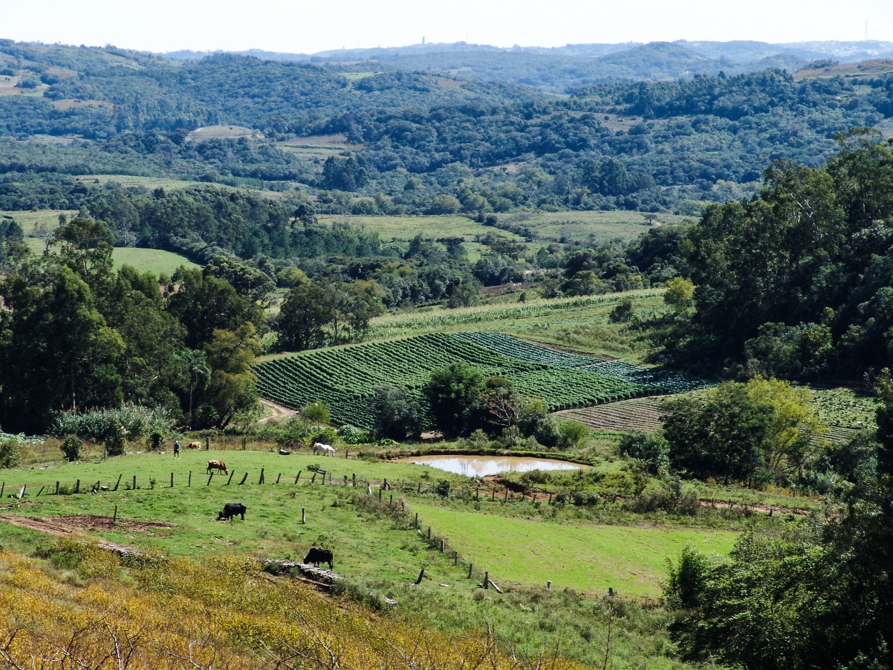 Prefeitura, por meio da Secretaria de Desenvolvimento Rural, estará presente na reunião de conselho de secretários municipais do setor