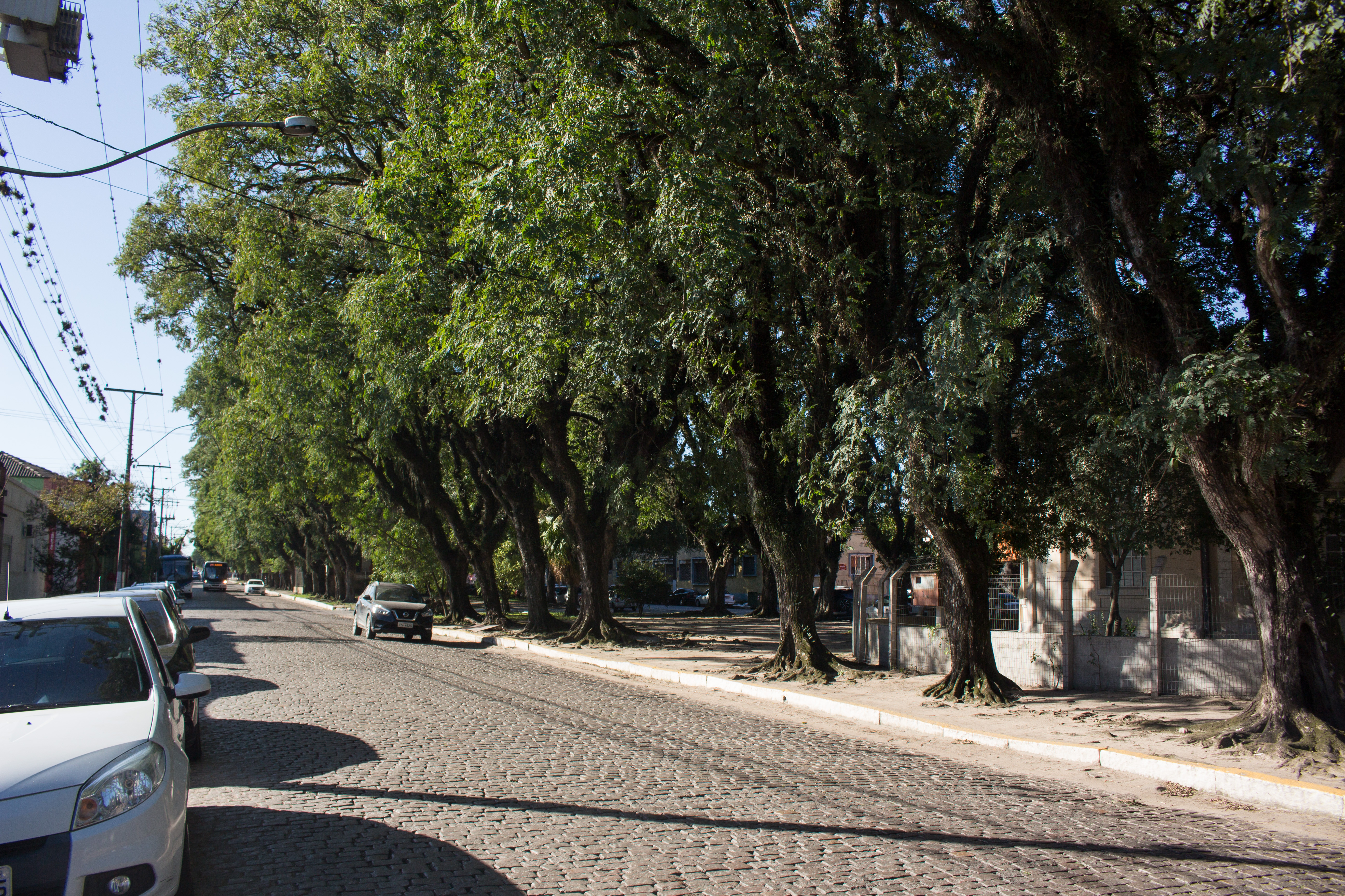 Avenida Saldanha Marinho, rua Dom Pedro II, Largo de Portugal, e ruas Cidade do Faro, Cidade do Porto e Cidade de Bragança passarão por transformações