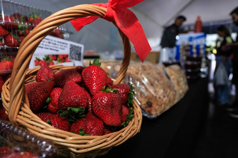 Em uma semana, foram vendidos 2.160 quilos da fruta diretamente do produtor ao consumidor