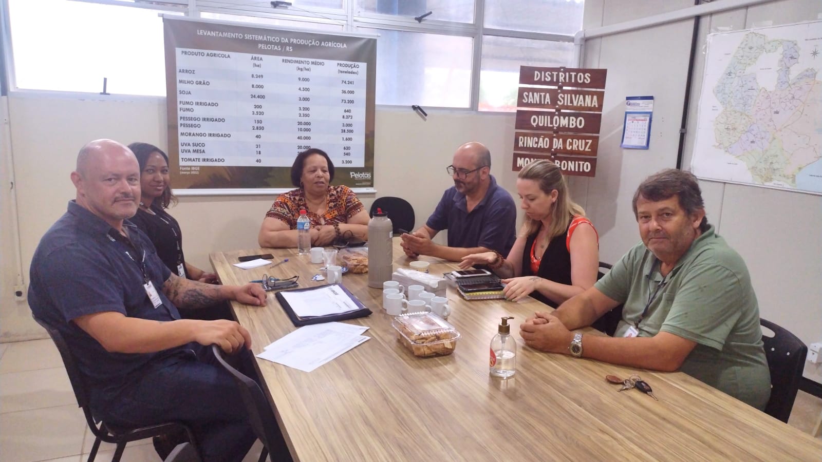Zona rural de Pelotas registra áreas cultivadas com a árvore que é rica fonte alimentar