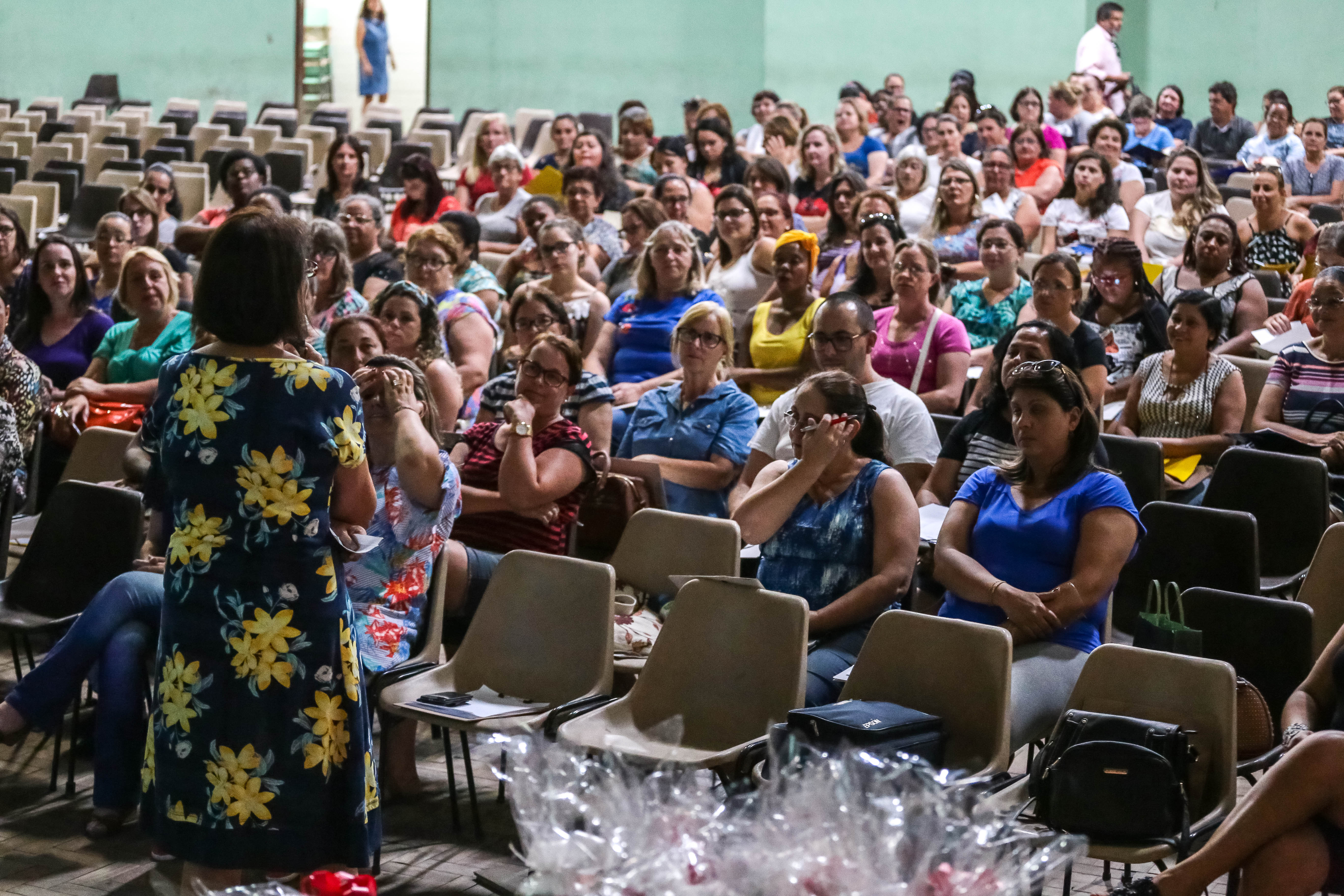 Profissionais estão reunidos no auditório do Colégio Pelotense