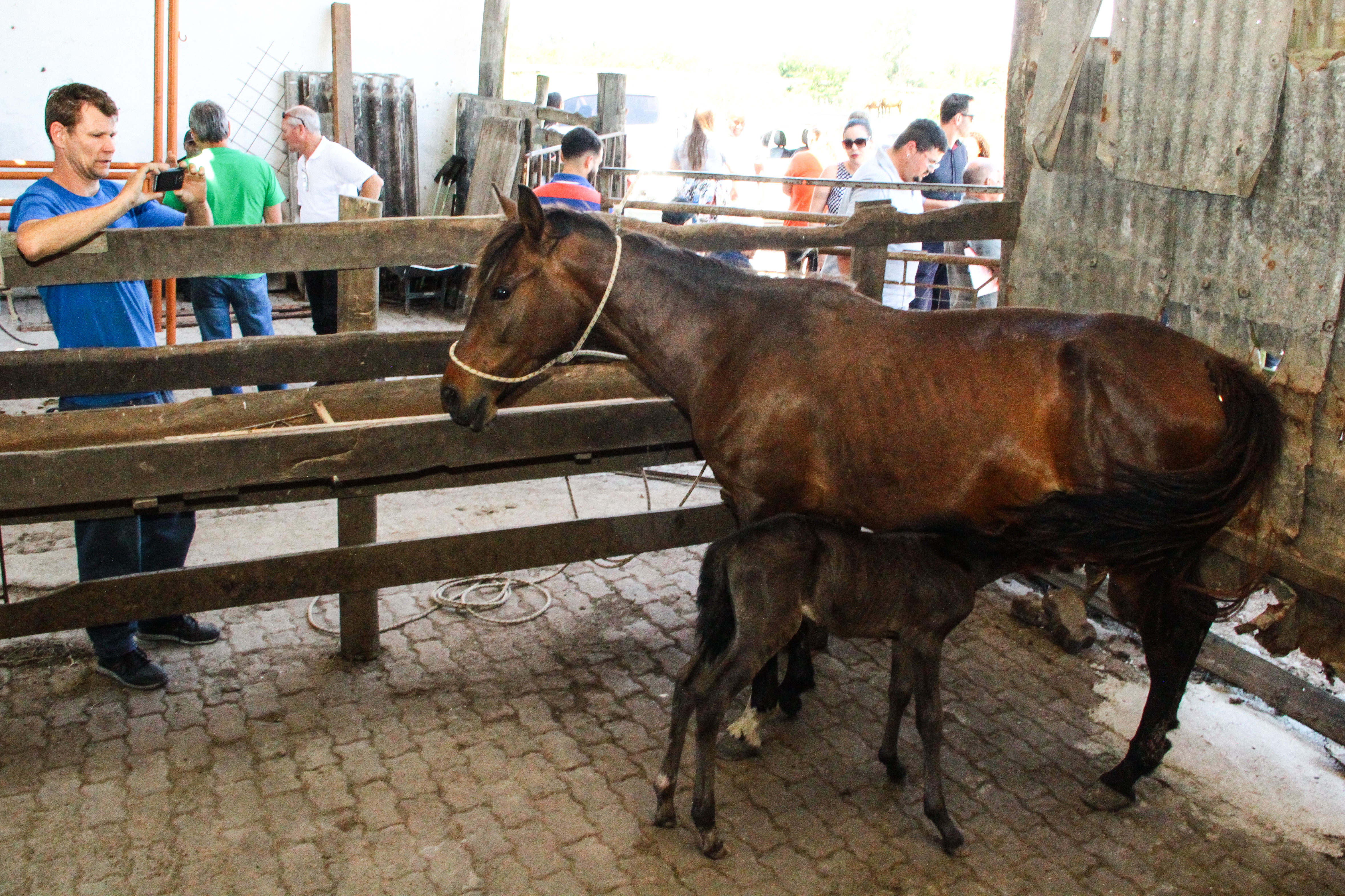 A doação foi a quarta e última edição do ano